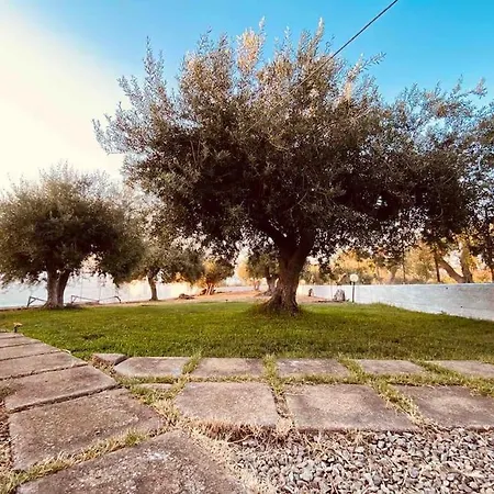 Floridio Sicilia Tra Campagna E Mare *
